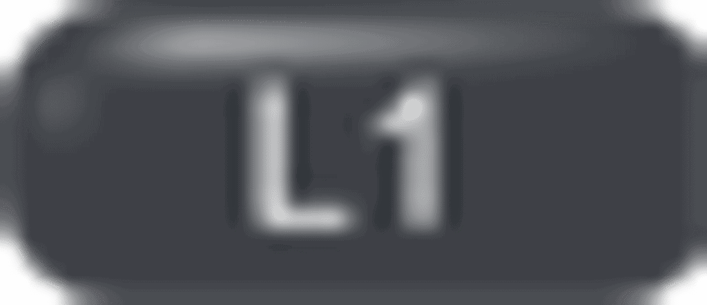 l1