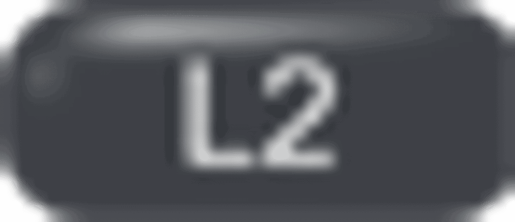 l2